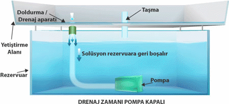 flooddrain